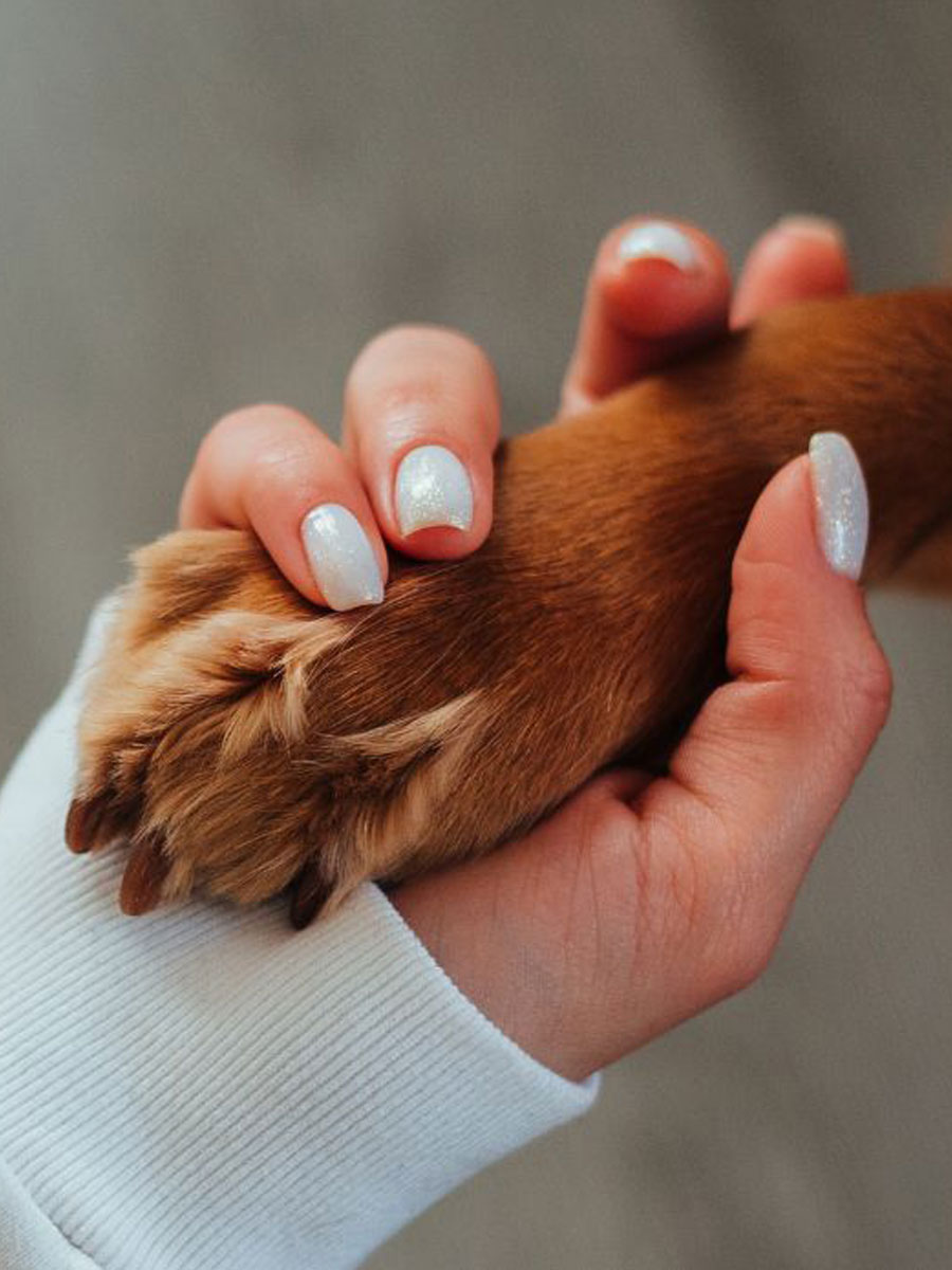 Owner and her dogs paw