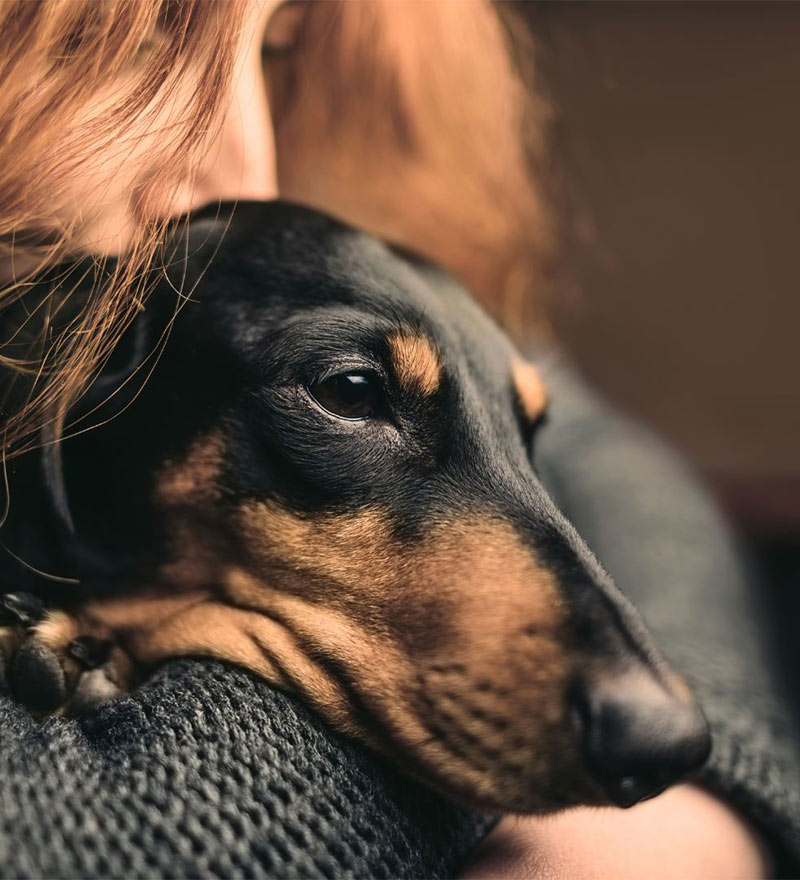 red-haired woman tenderly holding her black and brown dog