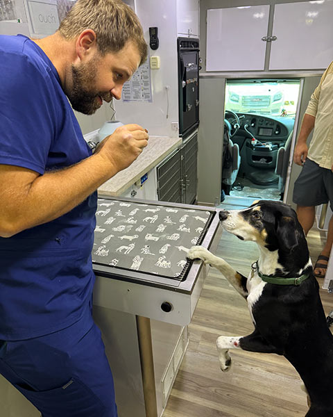 Dr. Aaron Poulignot playfully holding a treat for a dog at the clinic