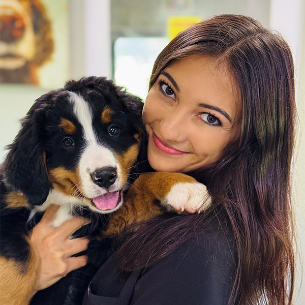 veterinary team member holding a happy black and brown puppy